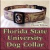 Florida State University Seminoles Polyester Webbing Designer Dog Collar Product Image No1