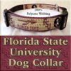 Florida State University Seminoles Polyester Webbing Designer Dog Collar Product Image No3