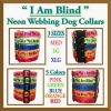 I Am Blind Neon Polyester Webbing Designer Dog Collar Product Image No6