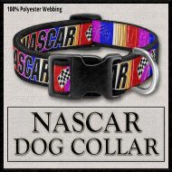NASCAR PINK Designer Dog Collar Product Image No1