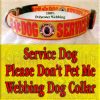 Service Dog Please Don't Pet Me I'm Working Polyester Webbing Designer Dog Collar Product Image No3