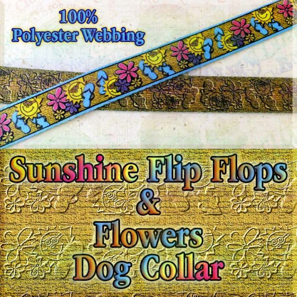 Summer Theme Sunshine Flip Flops & Flowers on Golden Canvas Faux Look Polyester Webbing Designer Dog Collar Product Image No1