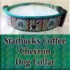Starbucks Chevron Black on Green Dog Collar Product Image No1