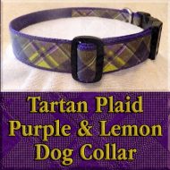 Tartan Plaid Lemon Yellow and Purple Designer Dog Collar Product Image No1