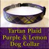 Tartan Plaid Lemon Yellow and Purple Designer Dog Collar Product Image No2