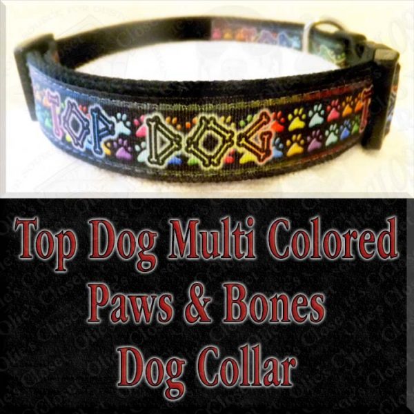 Top Dog Multi Colored Paws and Bones Designer Dog Collar Product Image No1