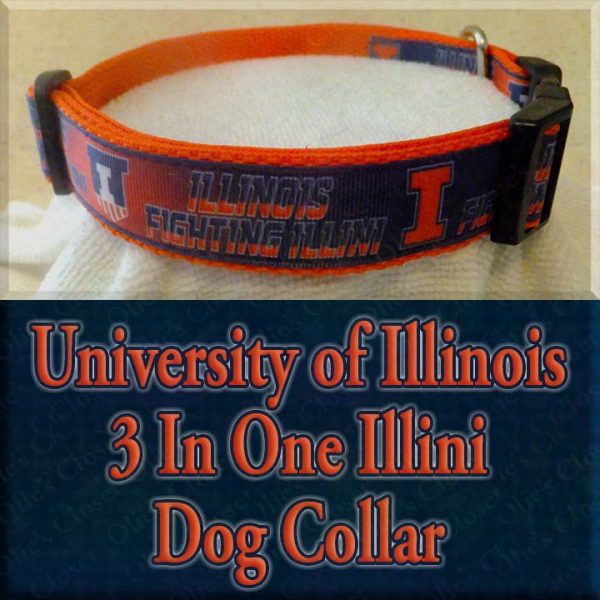 University of Illinois 3 In One Illini Designer Dog Collar Product Image No1