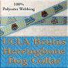UCLA University of California Los Angeles Bruins Herringbone Polyester Webbing Designer Dog Collar Product Image No1