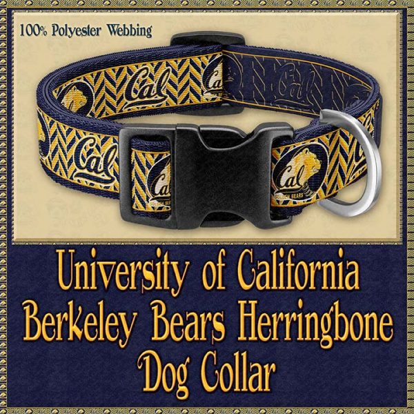University of California Berkeley Bears Designer Dog Collar Product Image No1