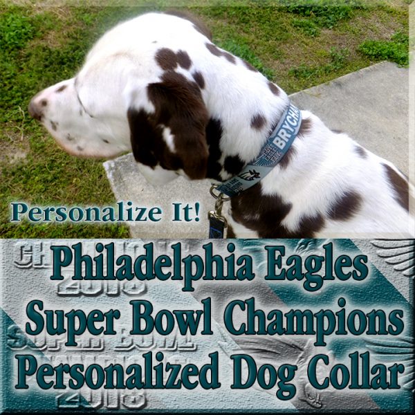 Philadelphia Eagles Personalized Super Bowl Champions Diagonal Team Colors 100% Polyester Webbing Dog Collar Product Image No2