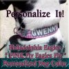 Pink Philadelphia Eagles Argyle PERSONALIZED 100% Polyester Webbing Dog Collar Product Image No4
