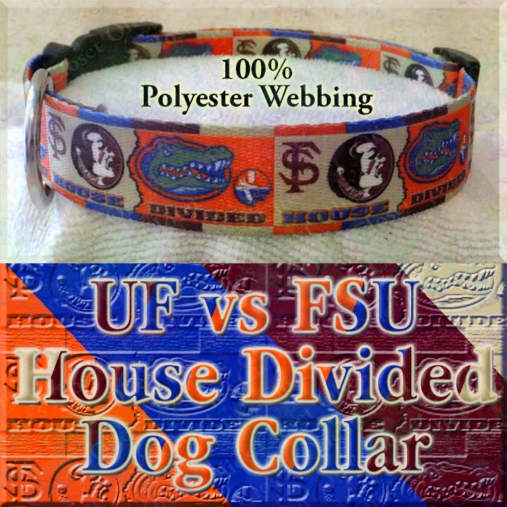 Pets First University of Florida Reversible Dog Collar, Medium