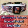 House Divided Alabama vs Auburn Designer Polyester Webbing Dog Collar Product Image No3