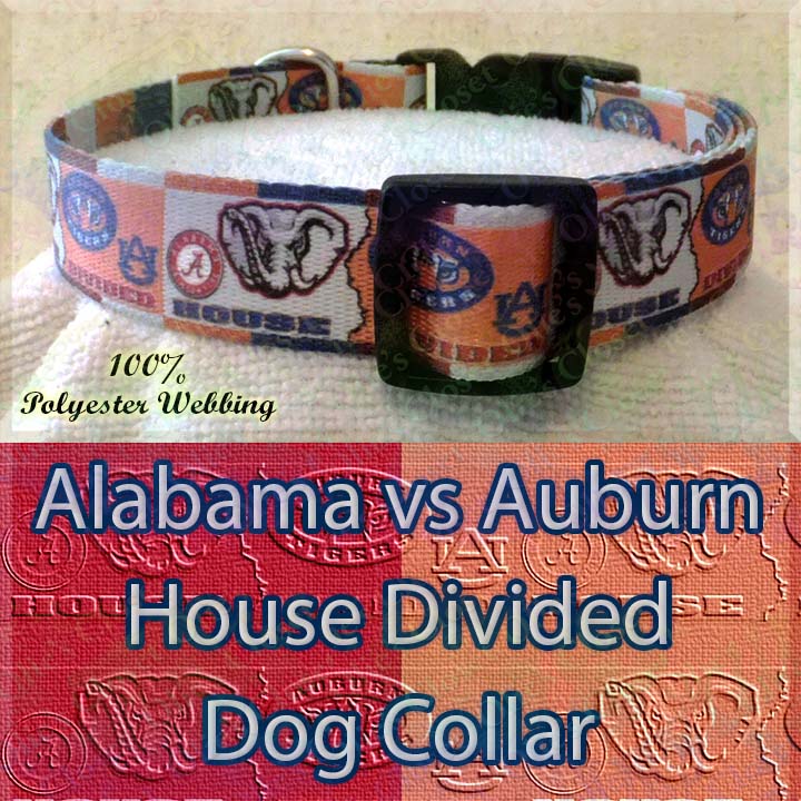 house divided dog collar