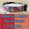 House Divided Alabama vs Auburn Designer Polyester Webbing Dog Collar Product Image No4
