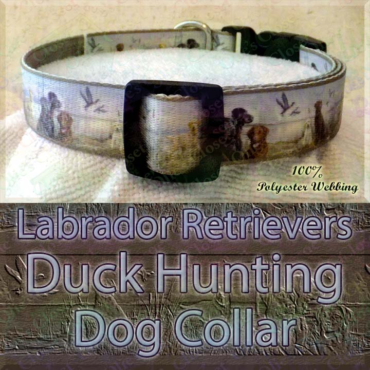 duck hunting dog collars