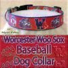 Worcester Woo Sox Baseball Designer Polyester Webbing Dog Collar Product Image No2