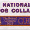 Clemson National Champs 2019 Polyester Webbing Dog Collar Product Image No1