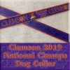 Clemson Tigers National Champs 2019 Dog Collar Product Image No1