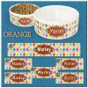 Personalized Custom Name Ceramic Pet Bowl ORANGE Argyle and Flowers CHOICES Product Image No1