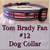 Tom Brady Fan Patriots Design Dog Collar Product Image No2