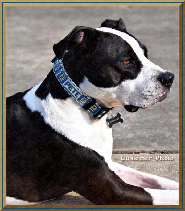 Pete Buttigieg for President 2020 Customer Photo Dog Collar Product Image No1