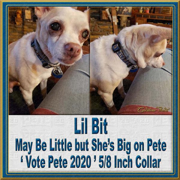 Pete Buttigieg for President 2020 Customer Photo Dog Collar Product Image No7