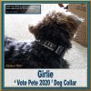Pete Buttigieg for President 2020 Customer Photo Dog Collar Product Image No8