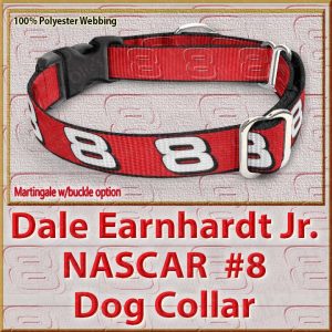 Dale Earnhardt Jr Fan NASCAR Number 8 Polyester Webbing Dog Collar Product Image No2
