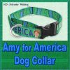 Amy Klobucher for President Designer Dog Collar Product Image No1