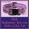 Pink Baltimore Ravens Designer Dog Collar Product Image No1