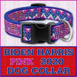PINK JOE BIDEN KAMALA HARRIS 2020 Dog Collar Product Image No1