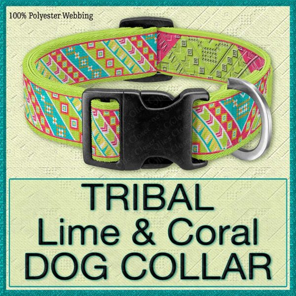 Tribal Lime Coral Designer Dog Collar Product Image No1