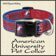 American University Pet Collar Product Image No1