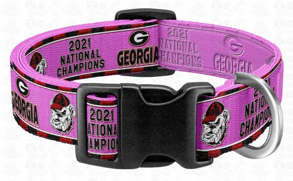PINK Georgia 2021 National Champions Pet Collar