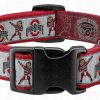 Ohio State University Buckeyes Pet Collar Product Image No2