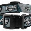 Philadelphia Eagles Team Color Palatte Designer Pet Collar Product Image No2