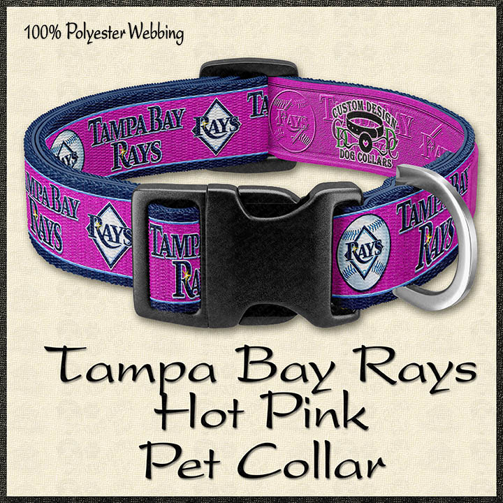 Hot Pink Tampa Bay Rays MLB Baseball Designer Dog or Cat Collar