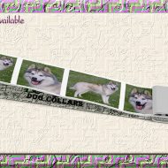 Alaskan Malamute Gray and White Dog Breed Key Fob Wristlet Product Image No2