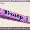 Personalized Pink Trump 2024 Keep America Great Key Fob Product Image No1