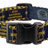 Michigan Wolverines 2024 National Champions BLUE Pet Collar Product Image No1