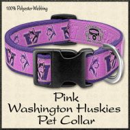 PINK Washington Huskies Pet Collar Product Image No1